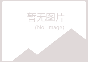 平陆县雅阳化学有限公司